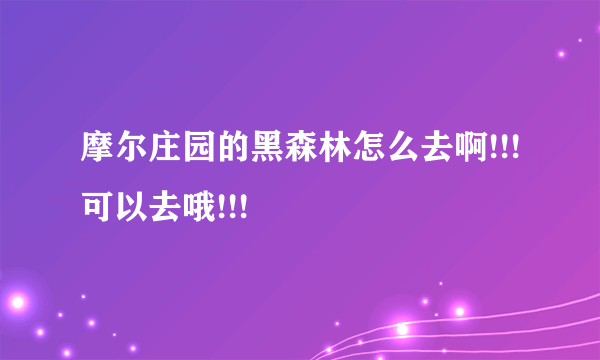 摩尔庄园的黑森林怎么去啊!!!可以去哦!!!