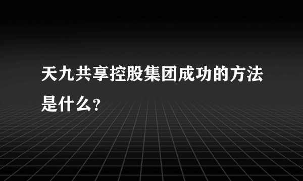 天九共享控股集团成功的方法是什么？