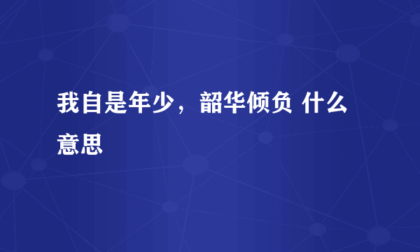 我自是年少，韶华倾负 什么意思