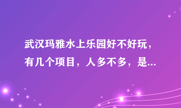 武汉玛雅水上乐园好不好玩，有几个项目，人多不多，是不是下饺子？去过的告诉下啊……