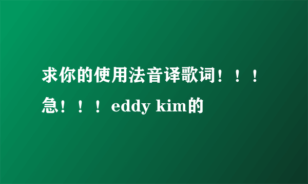 求你的使用法音译歌词！！！急！！！eddy kim的