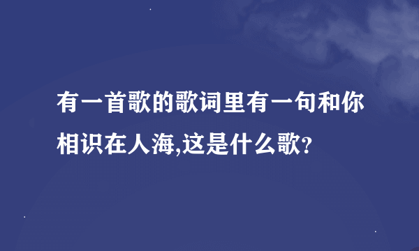 有一首歌的歌词里有一句和你相识在人海,这是什么歌？