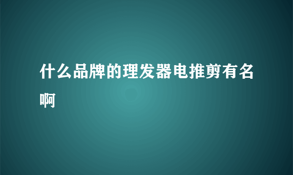 什么品牌的理发器电推剪有名啊