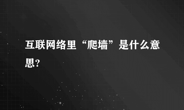 互联网络里“爬墙”是什么意思?